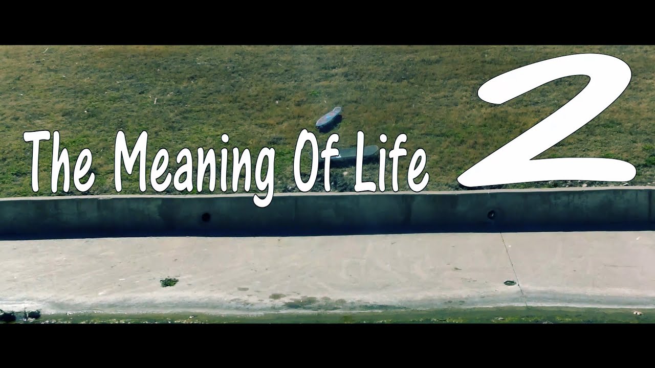 The Meaning Of Life 2