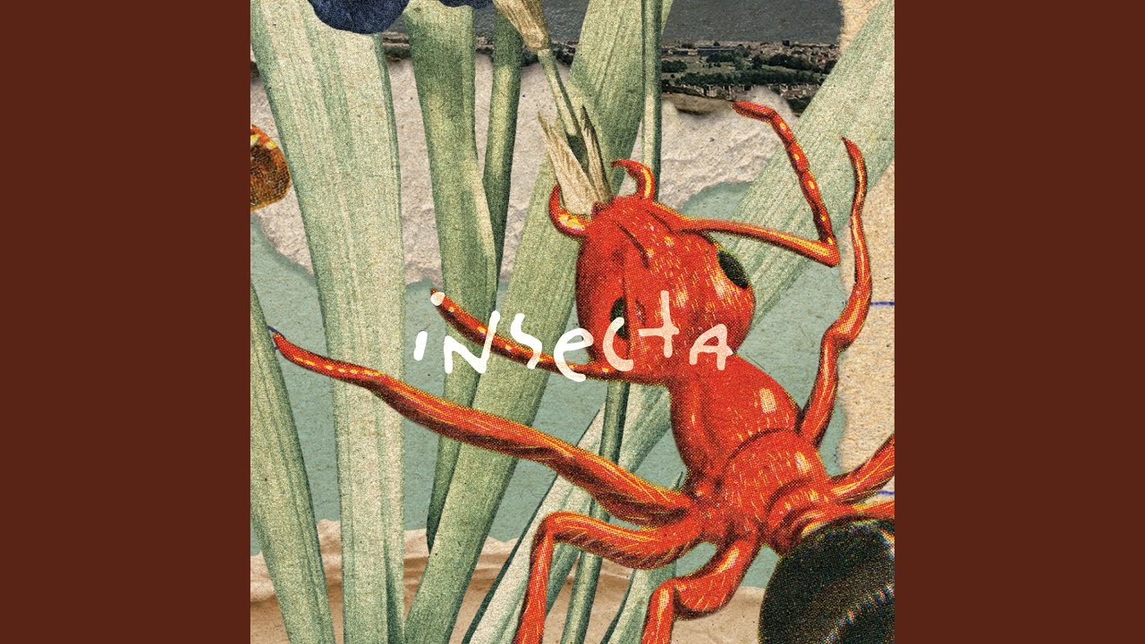 Insecta adlı videoyu YouTube'da izle Insecta adlı videoyu YouTube'da izle