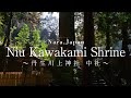 【奈良の絶景】丹生川上神社中社の紅葉と清流：Niu Kawakami Shrine at Higashi Yoshino Village in Autumn