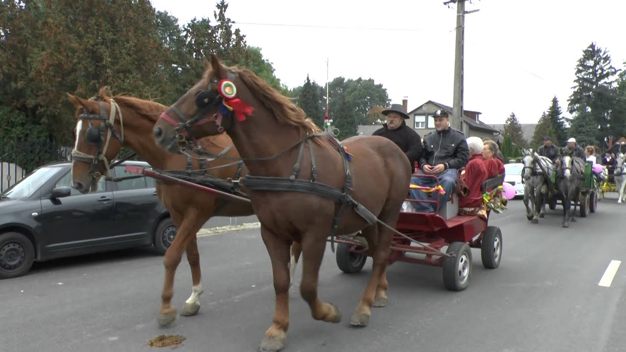 Letenye szüreti felvonulás 2