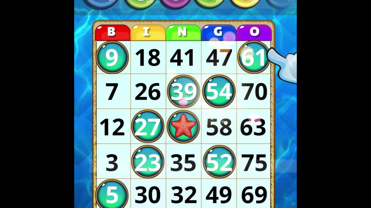 Bingo Today