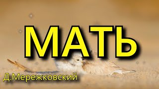 Мережковский Д. С.  «Мать», стихотворение