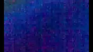 9 Feb 2008 - Day 3 In Perth - Aqwa