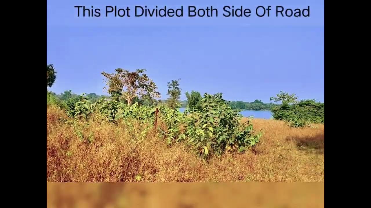 50Guntha Dam Touch Plot In Kolad Click Here 👆 For More Details YouTube