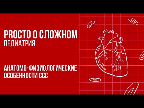 PROСТО О СЛОЖНОМ «Анатомо-физиологические особенности ССС»