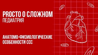 PROСТО О СЛОЖНОМ «Анатомо-физиологические особенности ССС»