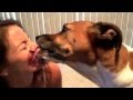 Boxer kisses in ultra slow motion ASMR