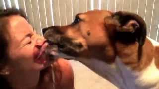 Boxer kisses in ultra slow motion ASMR