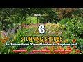 Top 6 Stunning Shrubs To Transform Your Garden In September рџЊїрџЌ Top 6 Stunning Shrubs To Transform Your Garden In September рџЊїрџЌ
