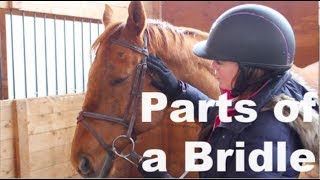 Parts of a Bridle