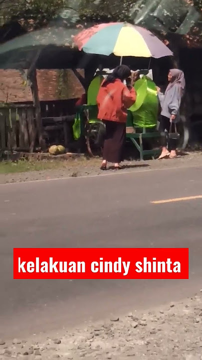 lihat kelakuan cindy shinta