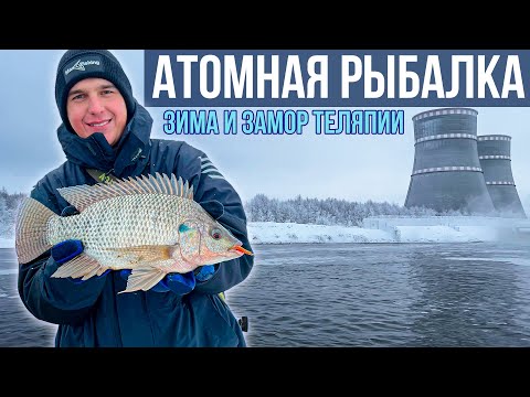 Африканская рыба в СЕРЕДИНЕ РУССКОЙ ЗИМЫ – ТРАГЕДИЯ озера Удомля | Тиляпия на спиннинг