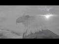 Capture de la vidéo Sarah Fimm - Dangerous (Official Music Video)