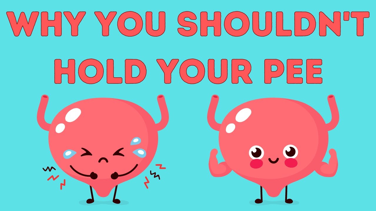 what-happens-if-you-hold-your-pee-in-for-too-long-youtube