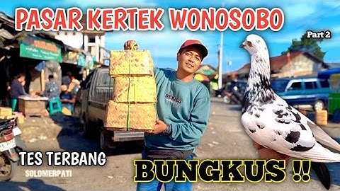 HUNTING MERPATI GIRINGAN DI PASAR KERTEK WONOSOBO TES TERBANG COCOK BUNGKUS PART 2