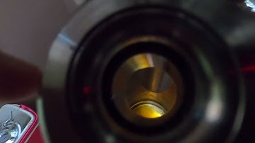 Butane Rain BHO Butane Hash Oil in eSwatini extraction recover for closed loop system