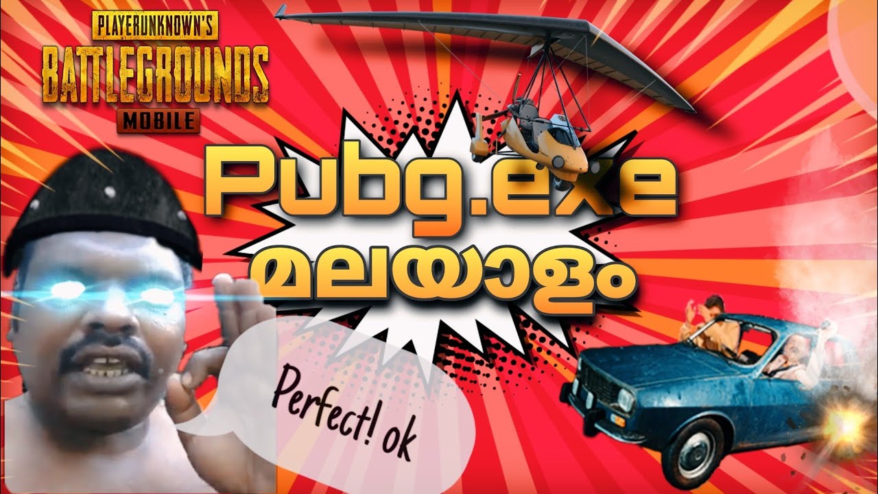 PUBG.EXE Malayalam  | Pubg Troll Malayalam Comedy video | Part - 8 | Pubg malayalam funny Gameplay