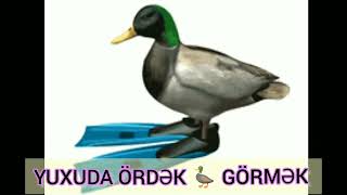 YUXUDA ÖRDƏK 🦆 GÖRMƏK