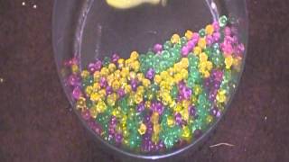 AMAZING Growing Jelly Crystal balls screenshot 4