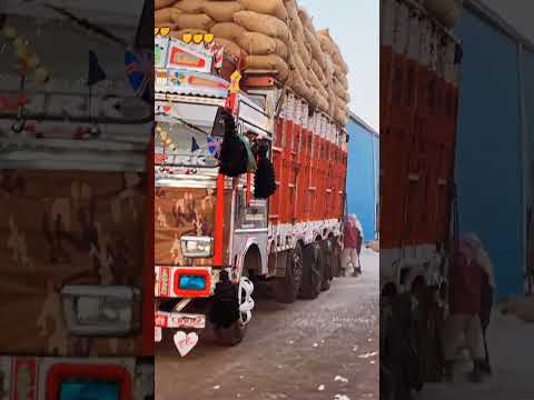 Log Sale Viral Trending Truck Rani Loading 