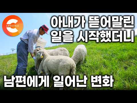 "항상 말렸었죠" 아내가 극구 말린 일을 기어이 시작한 남편이 나이에 비해 건강한 이유ㅣ#한국기행