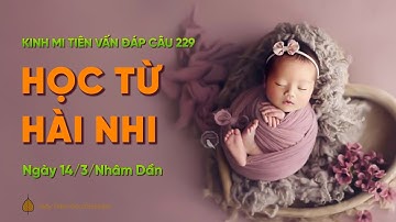 Học từ hài nhi | Kinh Mi Tiên Vấn Đáp câu 229 | Thầy Thích Trúc Thái Minh