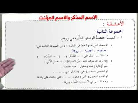 سابع عربي نحو د8 الاسم المذكر والاسم المؤنث ب1 ت