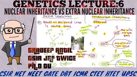 Nuclear Inheritance VS Extranuclear or Cytoplasmic or Maternal Inheritence|Genetics| CSIR NET, NEET|