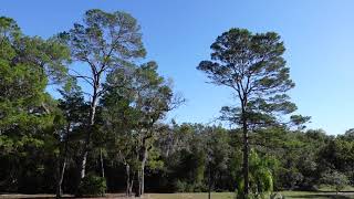 Beacon Woods - Best Kept Golfing Secret - Short Video showing Cobble Stone Drive, Hudson FL 34667