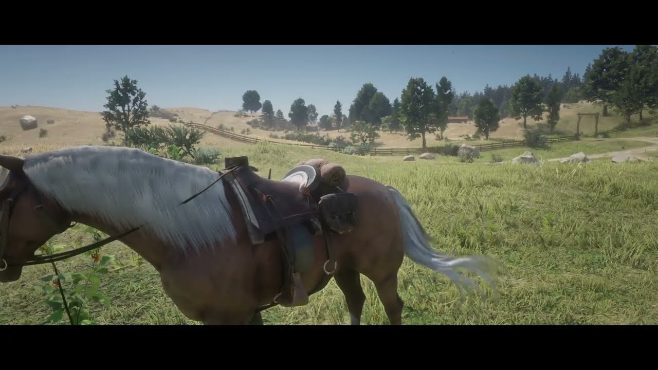 Red Dead Redemption 2