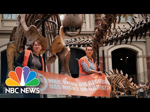 Climate change activists glue themselves to dinosaur exhibit at berlin museum