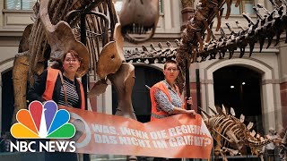 Climate Change Activists Glue Themselves To Dinosaur Exhibit At Berlin Museum