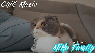 [Chillout with kittens] Nap Time Chill Music, Background, Work, Sleep