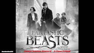 James Newton Howard - A Close Friend (Fantastic Beasts) 1 hour
