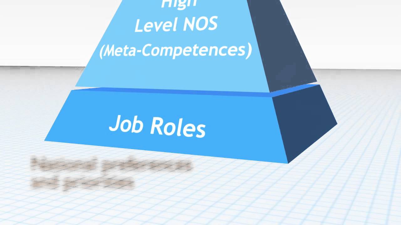 Model 1 – The Pyramid (Meta-competences within high level Standards)