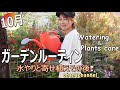 【ガーデンルーティン】10月🌞一緒に水やり気分❕寄せ植えその後❕【Garden Routine】 Watering & October Plants care!!