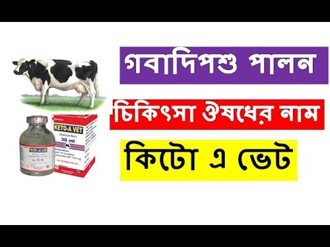 ভিডিও: ভেট অনুশীলনে শীর্ষ 6 ভেটের প্রস্তাবিত পরিপূরক