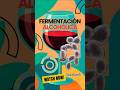 Fermentación alcohólica  #scienceshorts #science