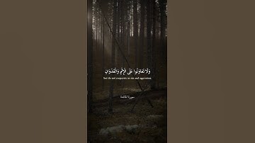تلاوه وتعاونوا على البر وعلى التقوى🎋🎋🎋