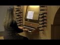 Miniature de la vidéo de la chanson Il Secondo Libro Di Toccate: Toccata Quinta (Sopra I Pedali Per L'organo, E Senza)