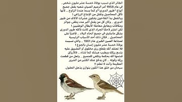 انا كل شيء خلقناه بقدر#محمد صديق المنشاوي#سورة القمر