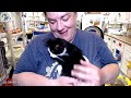 Q&amp;A and FunRaiser Drawing 05-09-2023 -- Friends of Felines Rescue Center (FFRC)