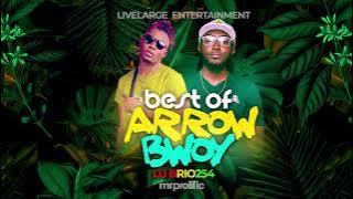 BEST OF ARROW BWOY MIX |BEST  BONGO MIX|  2023 Ft Dj DJBRIO254  |MRPROLIFIC