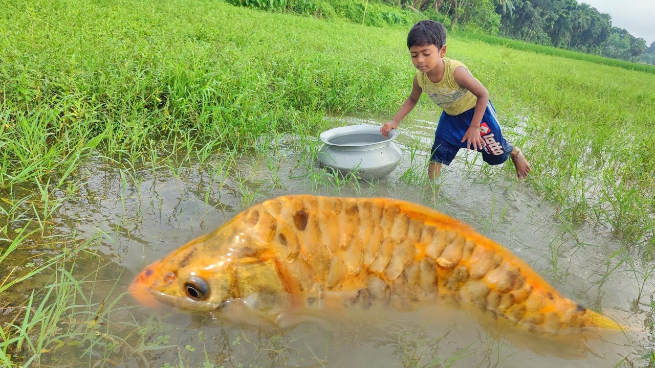 Best Fishing Video Catch Fish With Hand 2023 Village Boy Catching