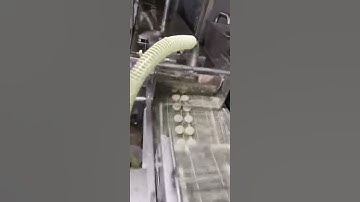 ELECTRICAL CONTINUOUS FRYER