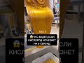 Что будет, если кислород исчезнет на 5 секунд #Shorts