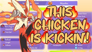 THIS IS THE BEST MEGA BLAZIKEN TEAM! VGC Regulation M-B!