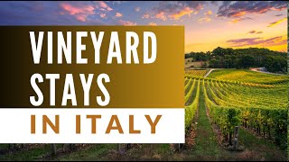 Live The Tuscan Dream: Vineyard Retreats That Won't Empty Your Wallet