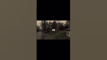 سبحان الله وبحمده ، سبحان الله العظيم. #قران_كريم #آيات #الحمدلله