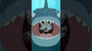 القرش الأبيض الكبير في الحلقة القادمة في برنامج كيف ماذا ولماذا؟ - The Great White Shark